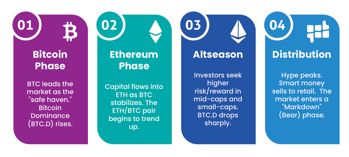 Crypto Market Cycles: Riding the Waves, Not the Tides